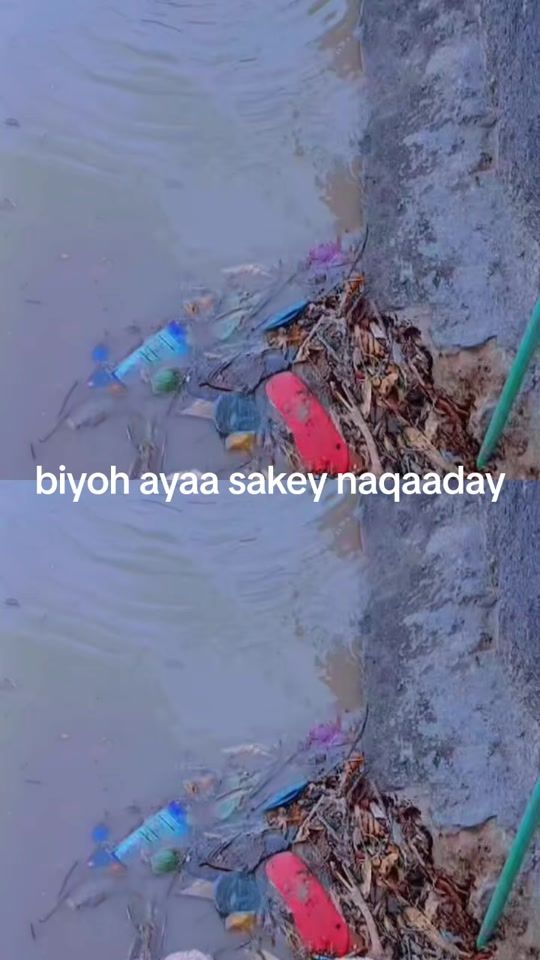TikTok video thumbnail by idiley1110