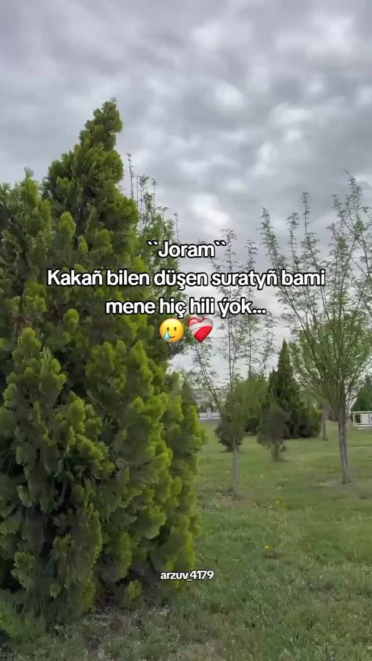 TikTok video thumbnail by arzuv_4179