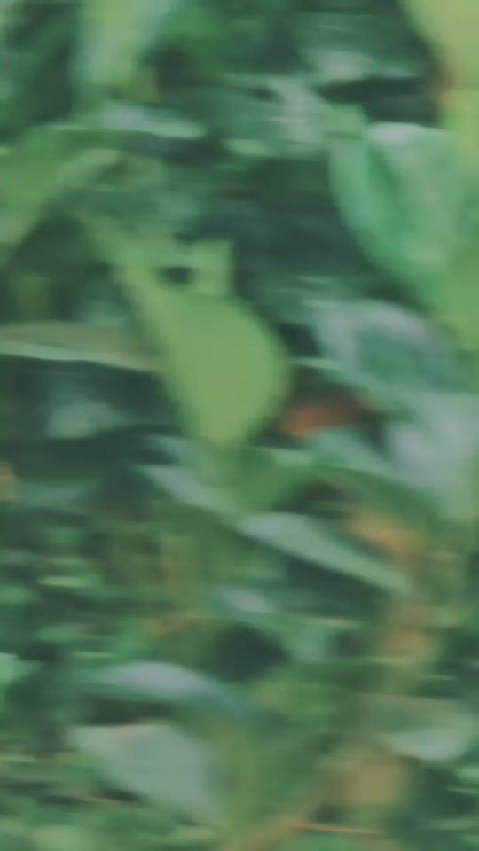 TikTok video thumbnail by prity_107