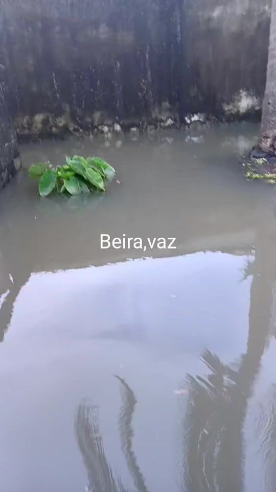 TikTok video thumbnail by lucineidy61