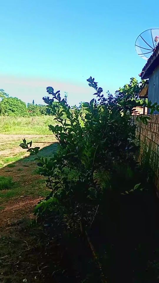 TikTok video thumbnail by luvp2021
