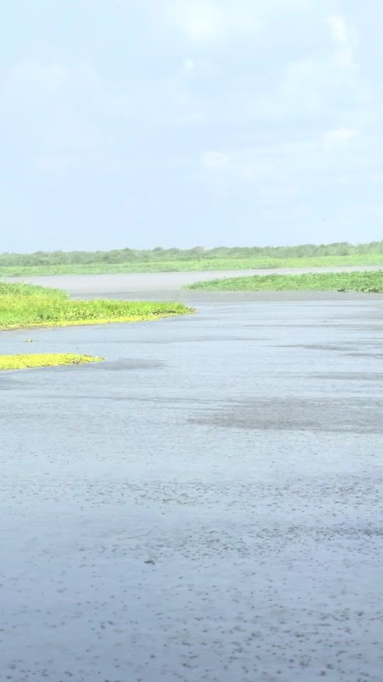 TikTok video thumbnail by akoonlly1