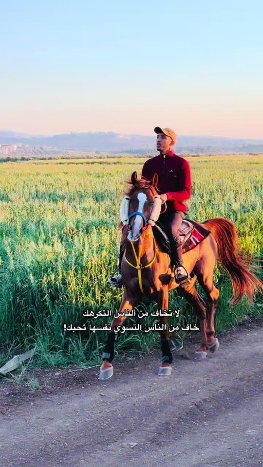 TikTok video thumbnail by tariqdiab2