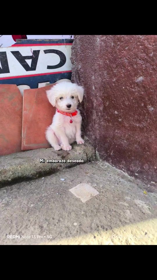 TikTok video thumbnail by lisseth_cardenas