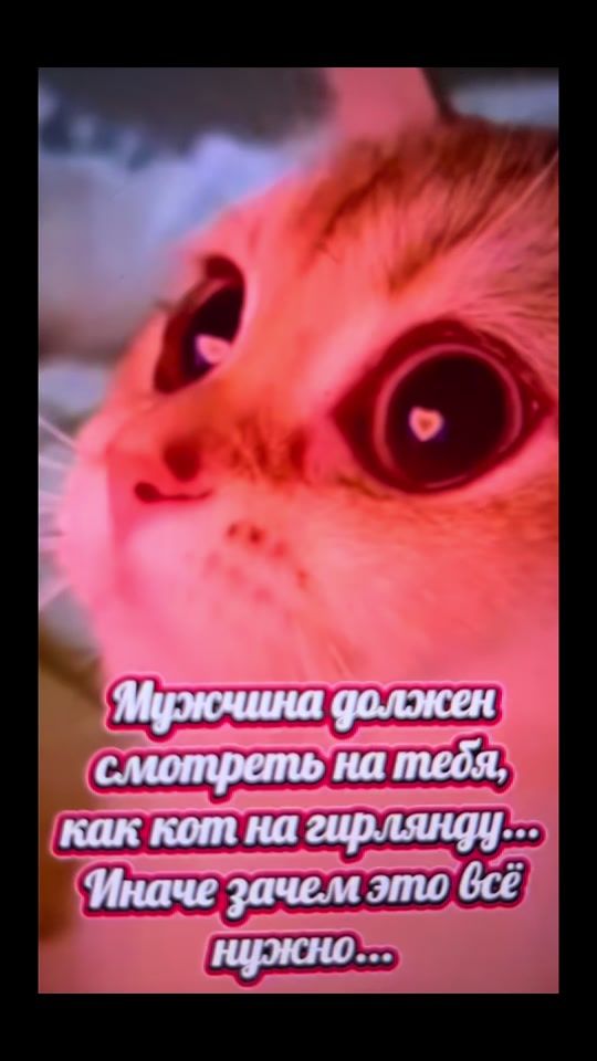 TikTok video thumbnail by lenaveremeychik