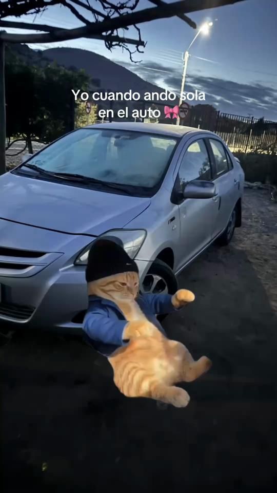 TikTok video thumbnail by 06287.a