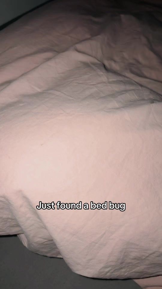 TikTok video thumbnail by kamce7