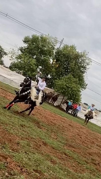 TikTok video thumbnail by kcnl1_