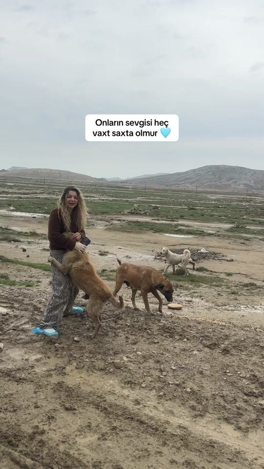 TikTok video thumbnail by sevilqsmv