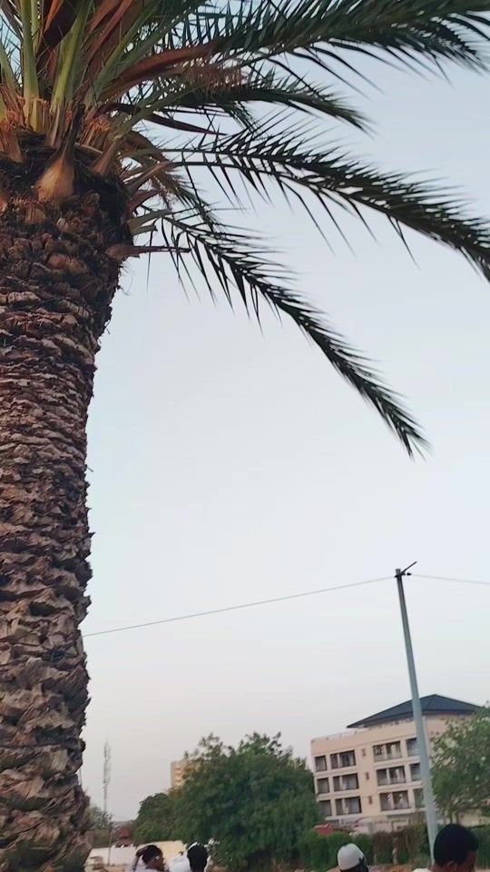 TikTok video thumbnail by woulet.kayam.kanem