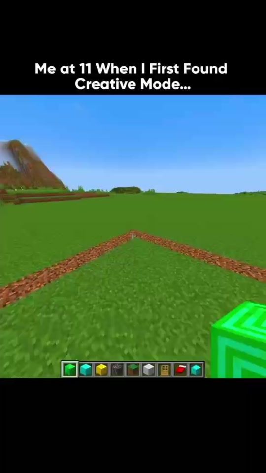TikTok video thumbnail by minecraft_040398