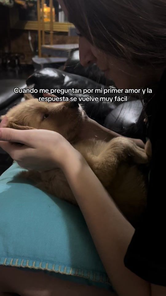 TikTok video thumbnail by zaidetmarg