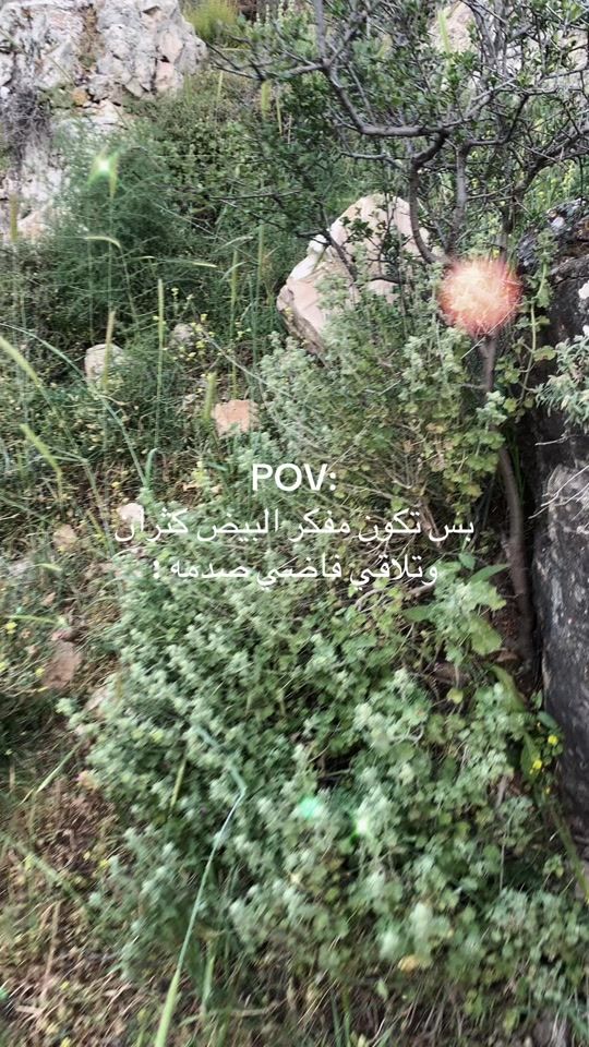 TikTok video thumbnail by .a._2002