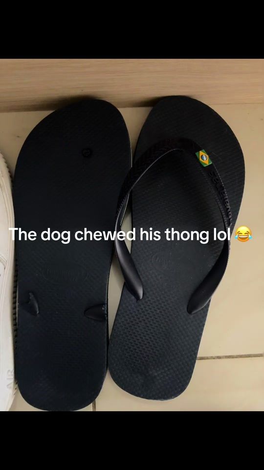 TikTok video thumbnail by brooketavares