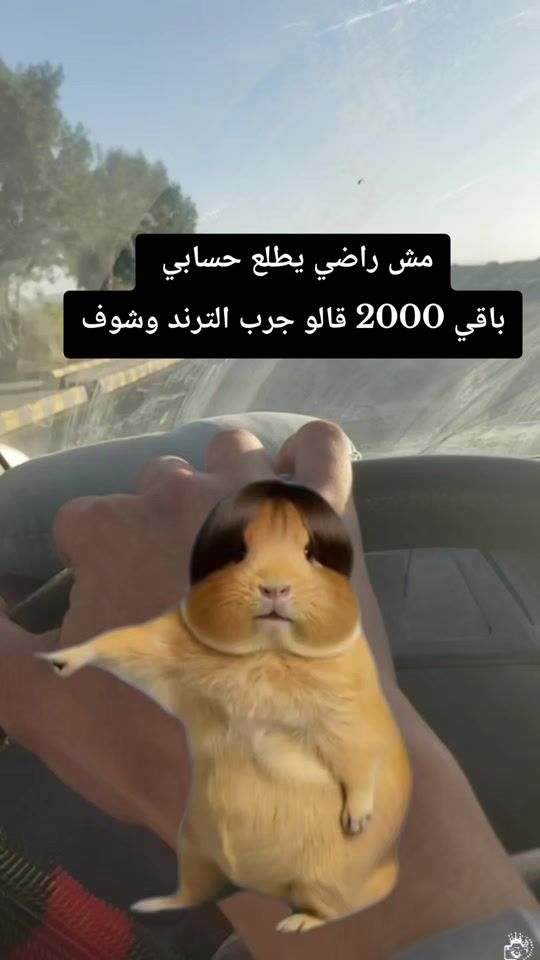 TikTok video thumbnail by suleman.2016