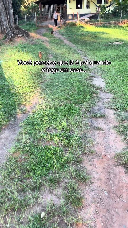 TikTok video thumbnail by alexandro.morais