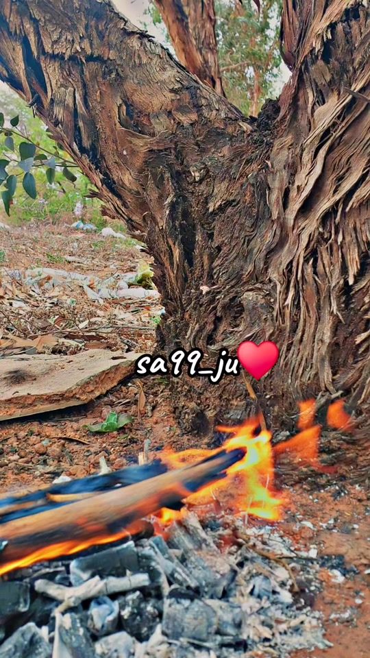 TikTok video thumbnail by sa99_ju