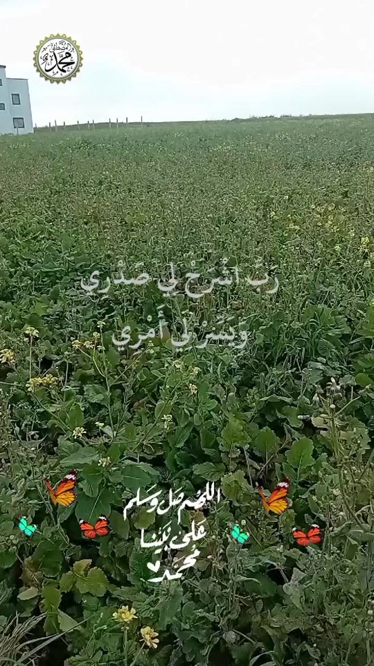 TikTok video thumbnail by zaza._.97