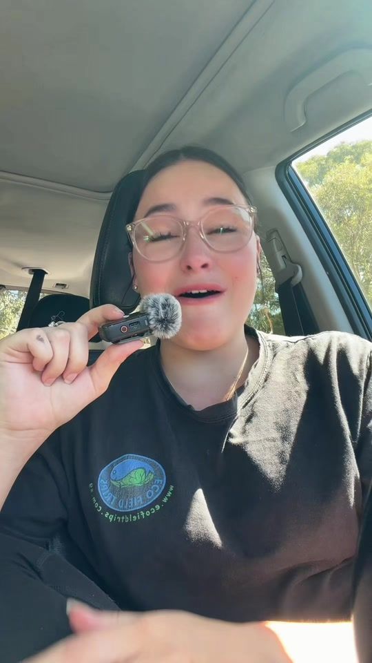TikTok video thumbnail by coucoukirah