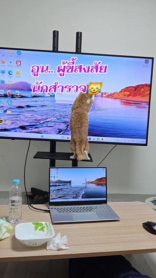 TikTok video thumbnail by kae1986_