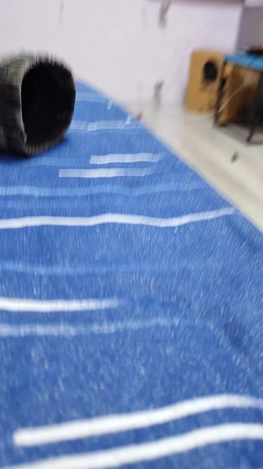 TikTok video thumbnail by .655273