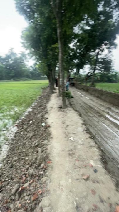 TikTok video thumbnail by salimmahmudul409