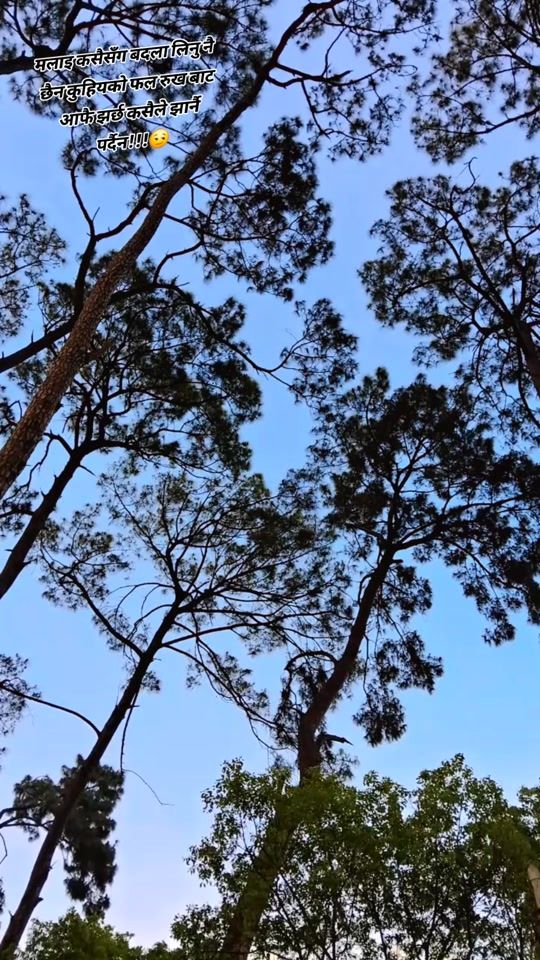 TikTok video thumbnail by esu_stha123_gsts