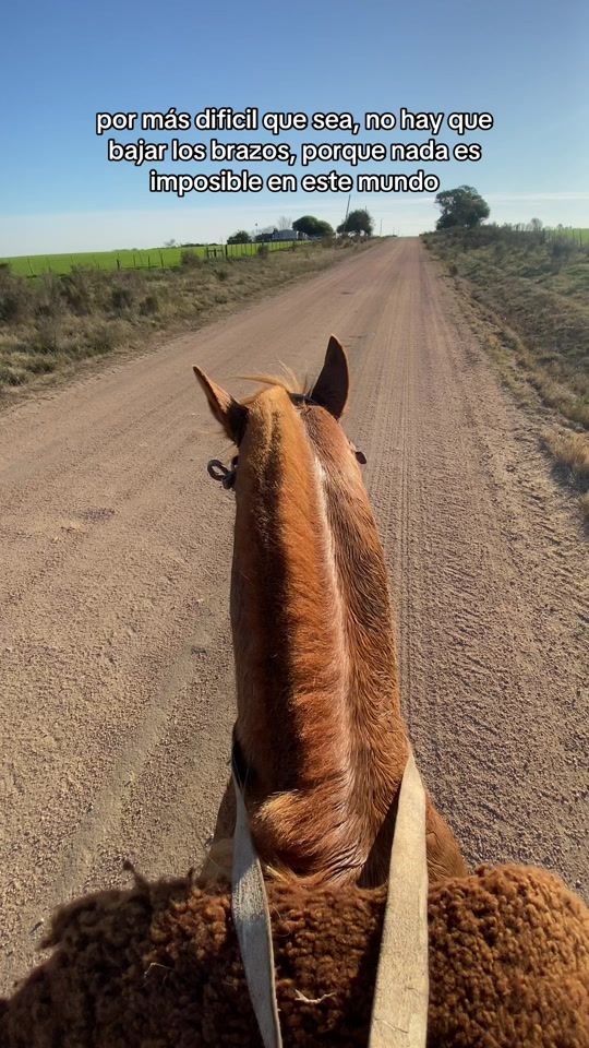 TikTok video thumbnail by daysivillegas01