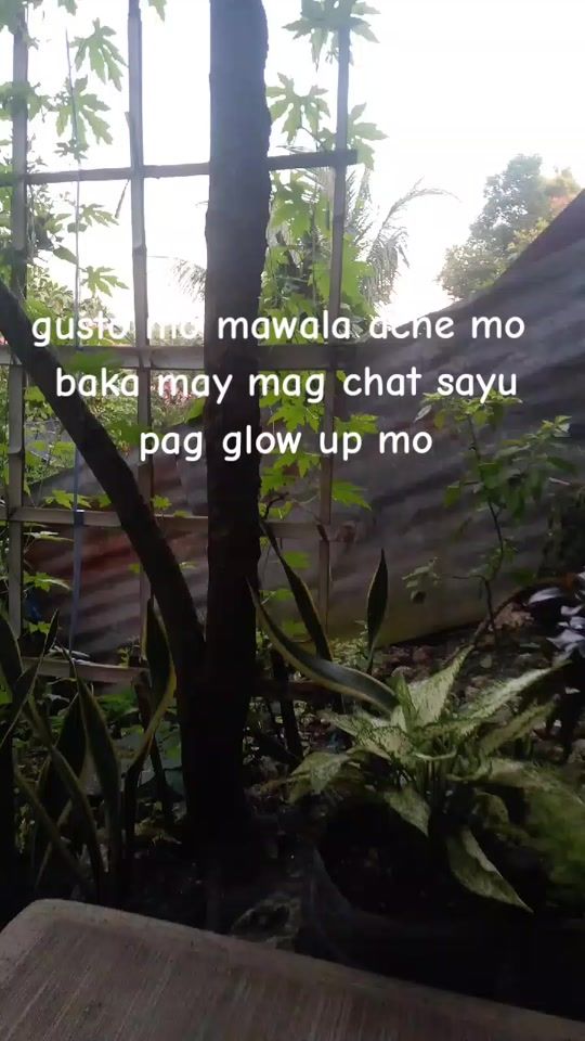 TikTok video thumbnail by stigma_ni