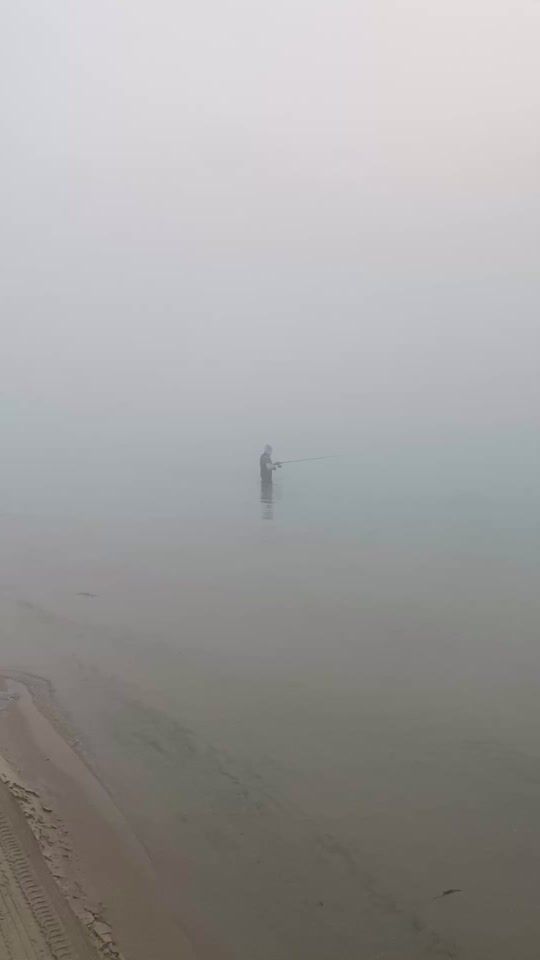 TikTok video thumbnail by fishing_rover