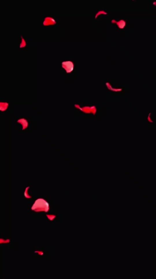 TikTok video thumbnail by aden.digala