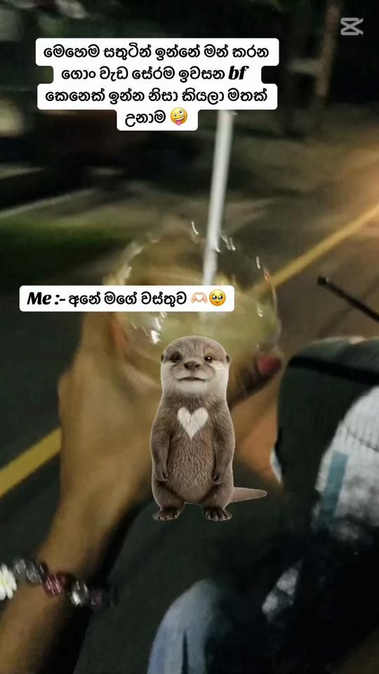 TikTok video thumbnail by nikmiparindya