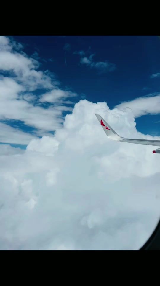 TikTok video thumbnail by globosmadaicuernavaca