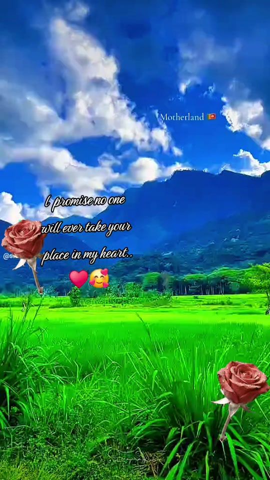 TikTok video thumbnail by tharu.lanka.71