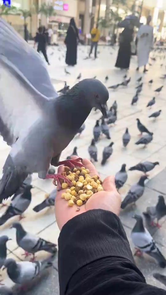 TikTok video thumbnail by reem_130_