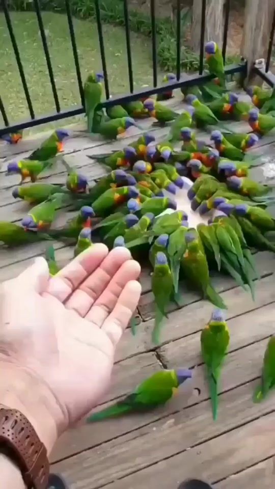 TikTok video thumbnail by velasque.a