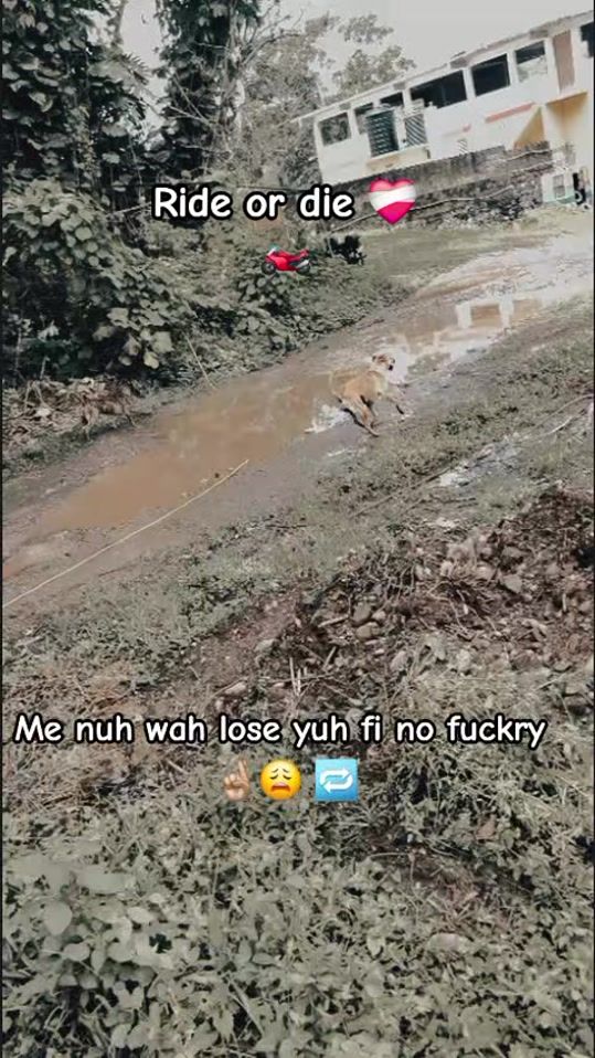 TikTok video thumbnail by the.man.himself_jay