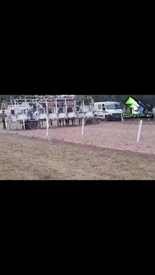 TikTok video thumbnail by amir_amado5