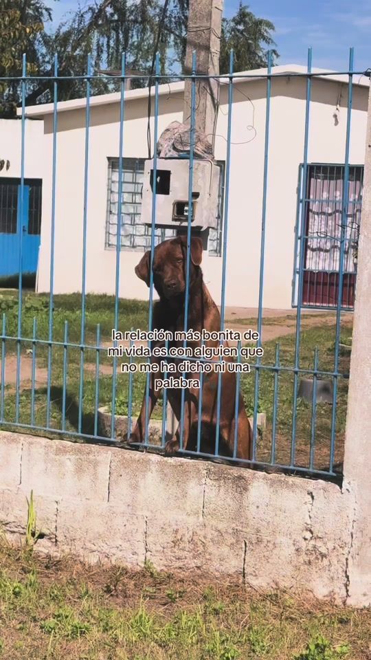TikTok video thumbnail by naiiruizz__