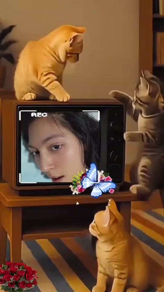 TikTok video thumbnail by emiliarosa20
