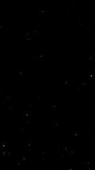 TikTok video thumbnail by pu.twoby