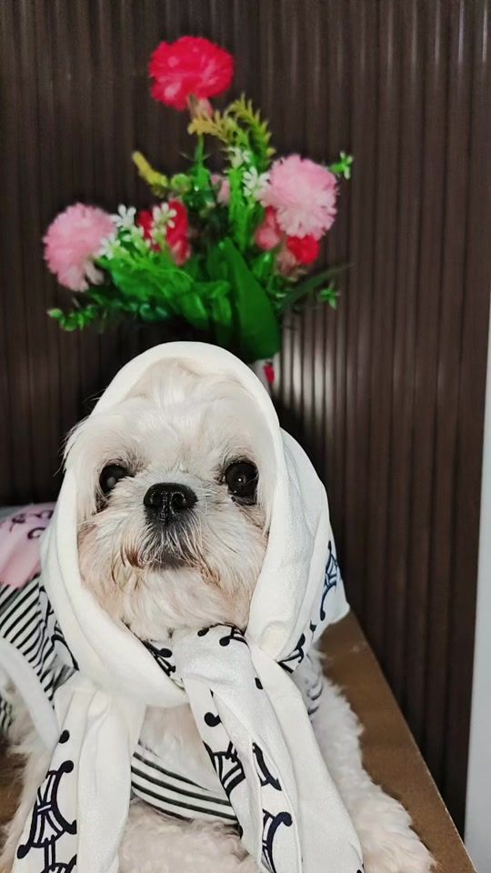 TikTok video thumbnail by allabout.pots_