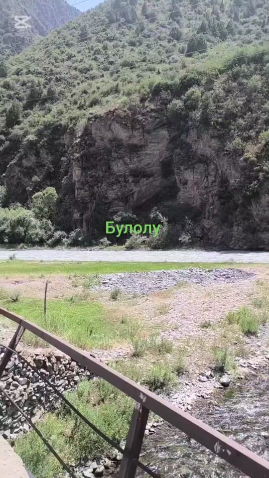 TikTok video thumbnail by vet.kg