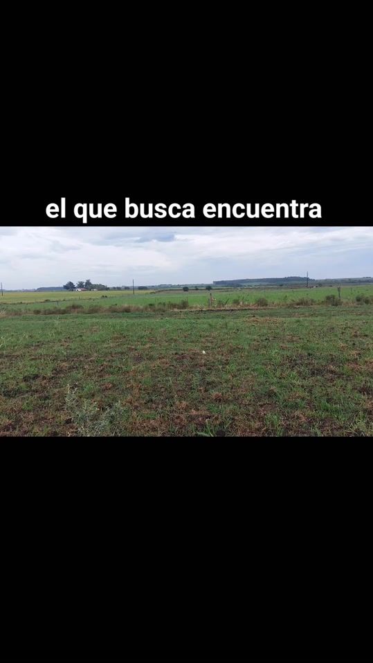 TikTok video thumbnail by davidlavega