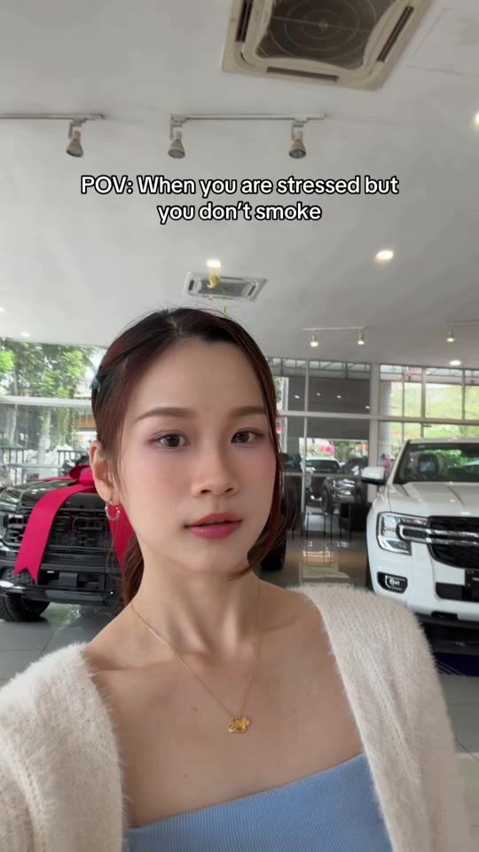 TikTok video thumbnail by fordagnes