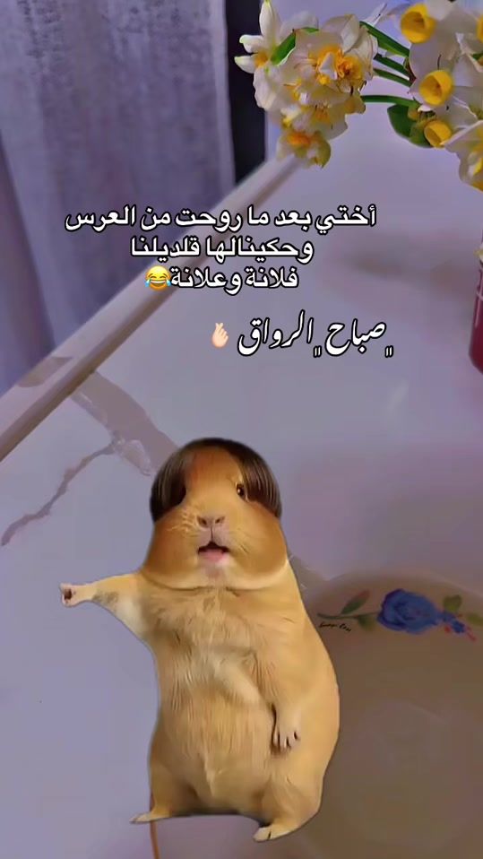TikTok video thumbnail by fofita85