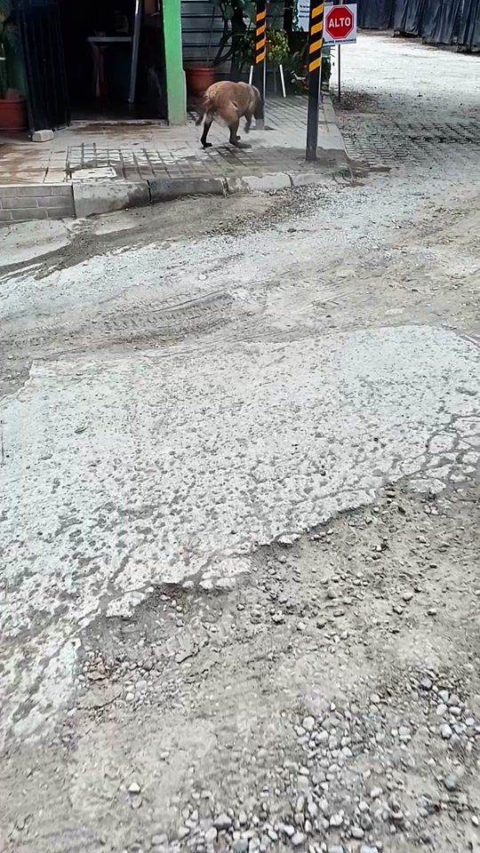 TikTok video thumbnail by worldredd