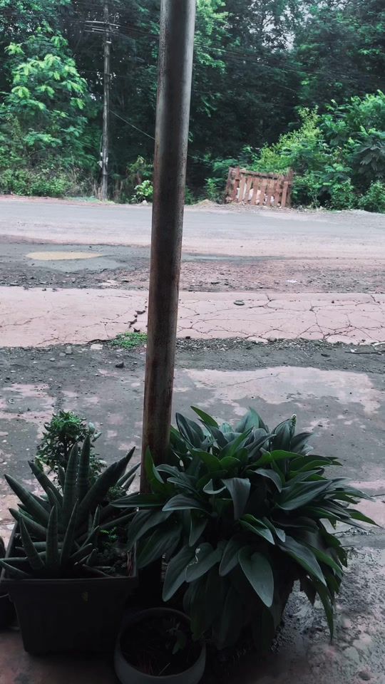 TikTok video thumbnail by da_20068