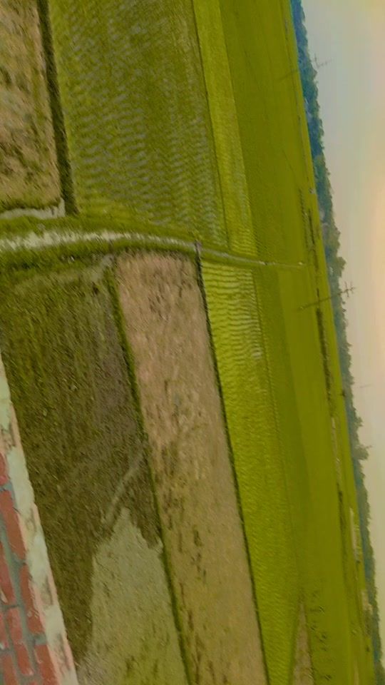 TikTok video thumbnail by mdsiyam8439