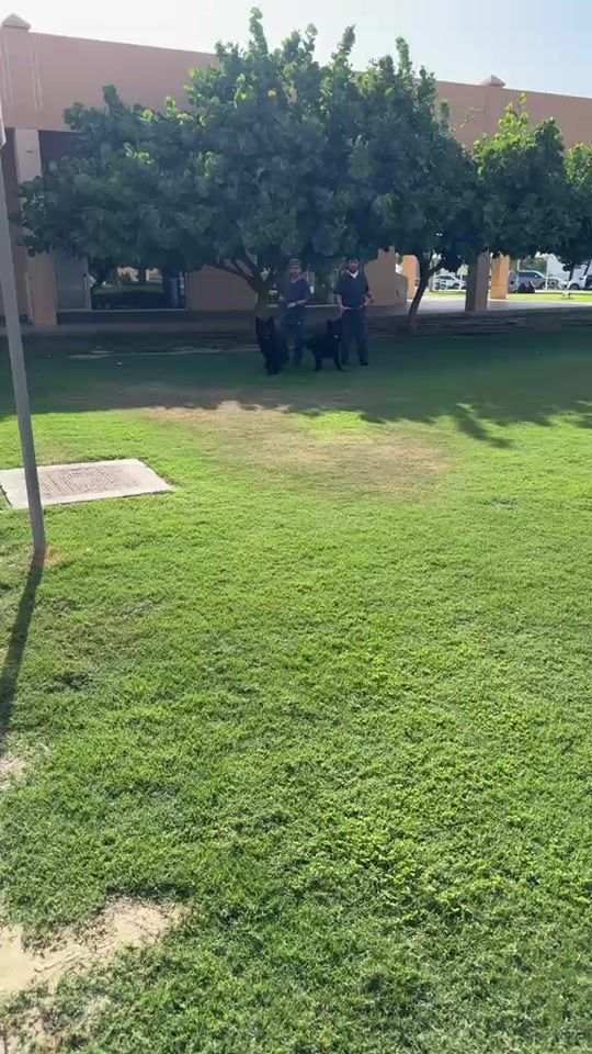 TikTok video thumbnail by fady_gamil2